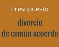Presupuesto para divorcios