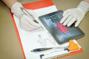 Indemnización por atropello
